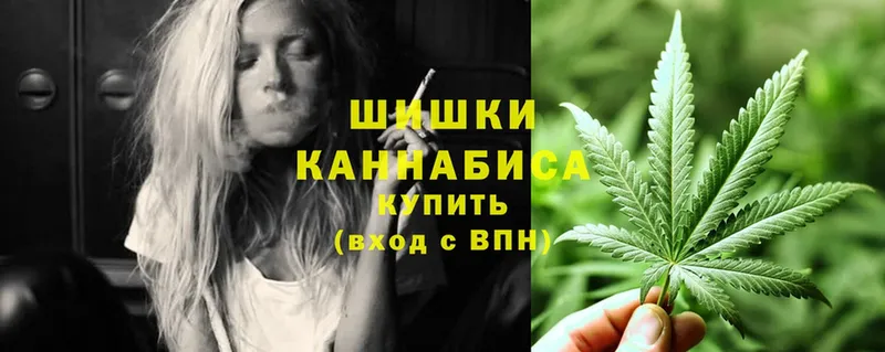 Каннабис сатива  купить наркотики цена  Высоцк 